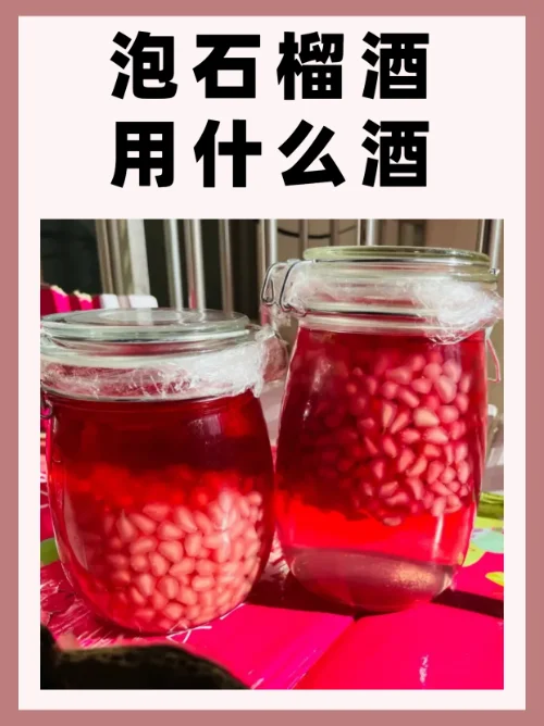 正在发酵中的家庭自酿石榴酒特写，展示酒液颜色、气泡和沉淀物状态_1