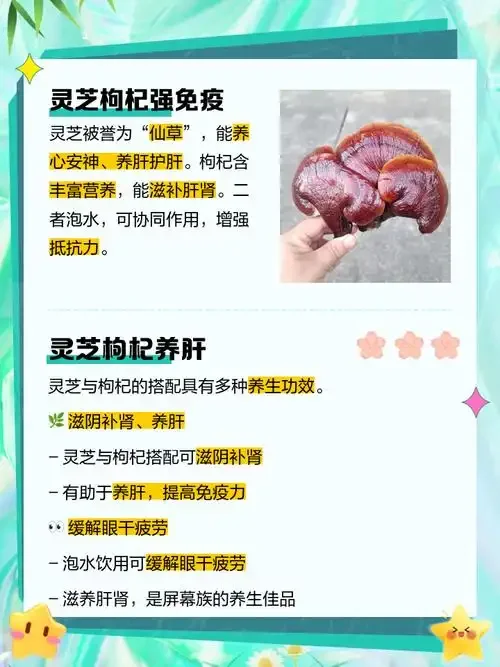灵芝、枸杞、人参、红枣在玻璃酒坛中与琥珀色酒液共同浸泡的静物特写_1