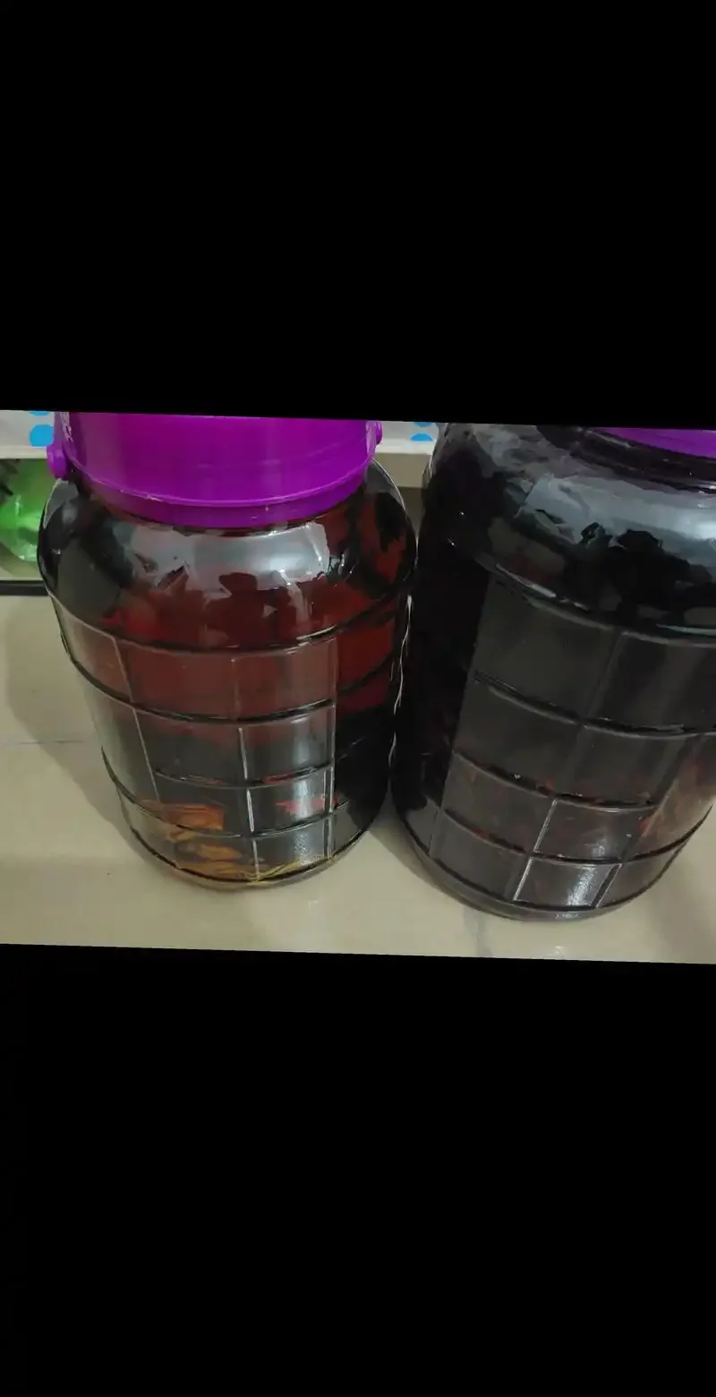 一瓶正在浸泡的野灵芝酒特写，展示了琥珀色酒液与灵芝的完美融合，旁边摆放着原始灵芝和清洗工具。_1