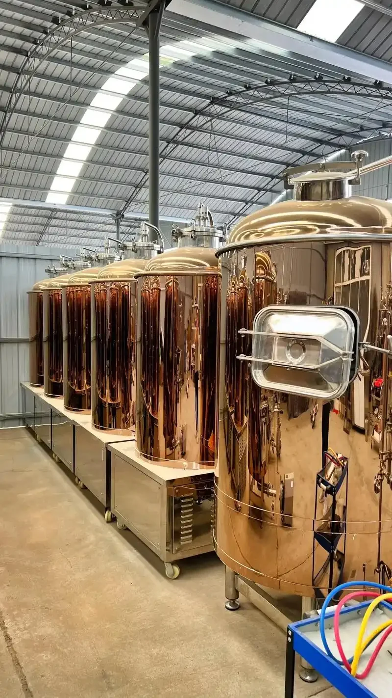 酿酒师在小型啤酒厂车间内，对比讲解不同啤酒设备品牌的特点_1