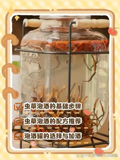 冬虫夏草在玻璃酒坛中浸泡的特写，展示虫草与酒液的完美结合。_1