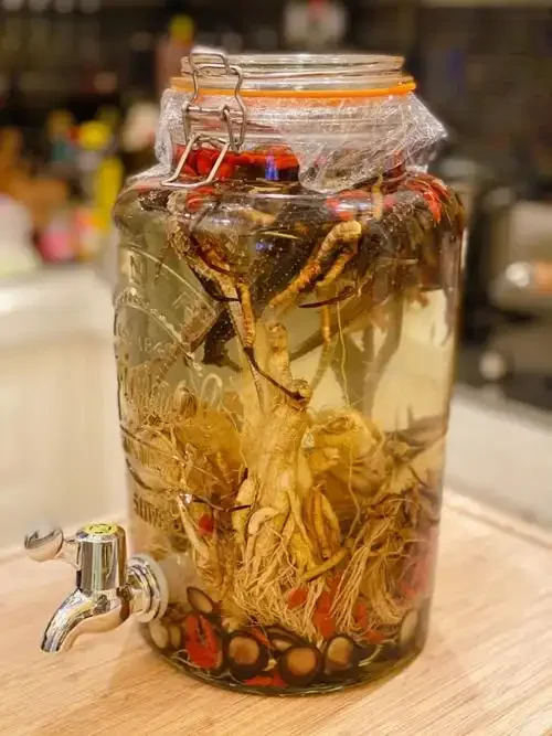 玻璃酒坛中浸泡的完整鲜人参，旁边伴有红枣和枸杞，展示家庭泡制鲜参酒的场景。_1