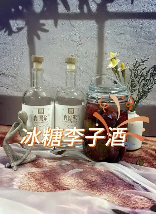 酿酒师演示李子泡酒第一步：处理新鲜李子，准备玻璃罐、冰糖和白酒_1