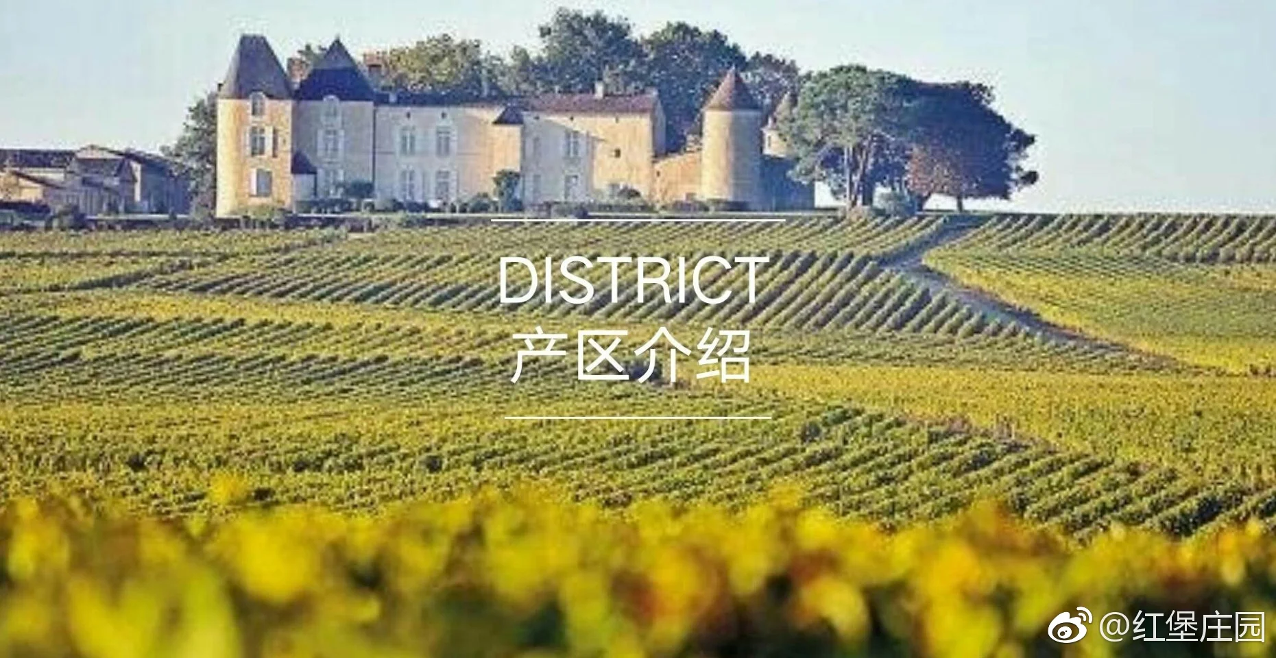 手工破碎葡萄进行葡萄酒发酵准备_1