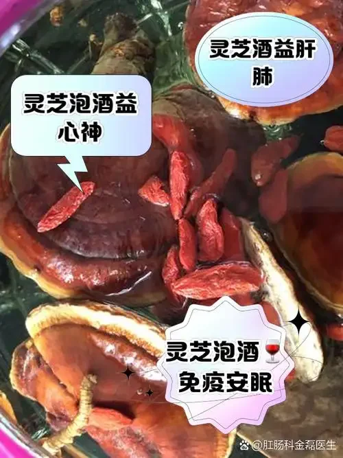 酿酒作坊中，野生灵芝浸泡在琥珀色酒液中的特写场景，展现传统泡酒的工艺与美感。_1