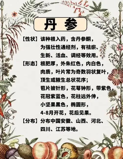 丹参红花酒泡制过程特写，玻璃罐中草药与酒液清晰可见，旁边有手写配方笔记_1