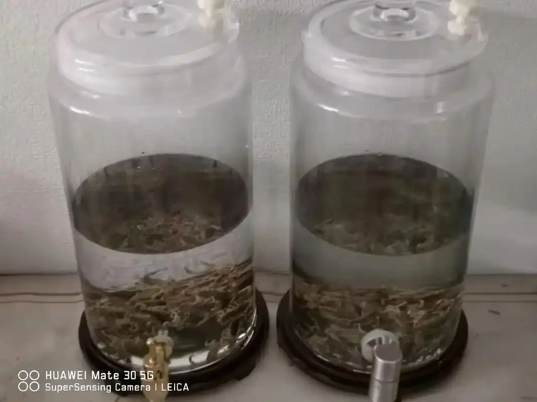 蝎子枸杞当归泡酒罐特写：透明玻璃罐中，蝎子、红枸杞、当归片在琥珀色酒液中清晰可见，展现专业酿酒师的配方搭配。_1