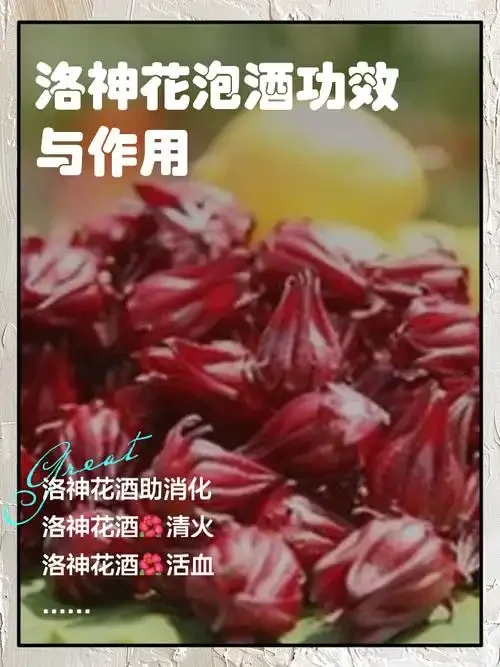浸泡在琥珀色酒液中的八爪金龙根茎特写，根须如龙爪清晰可见，辅以枸杞与当归，展现传统药酒的制作过程。_1