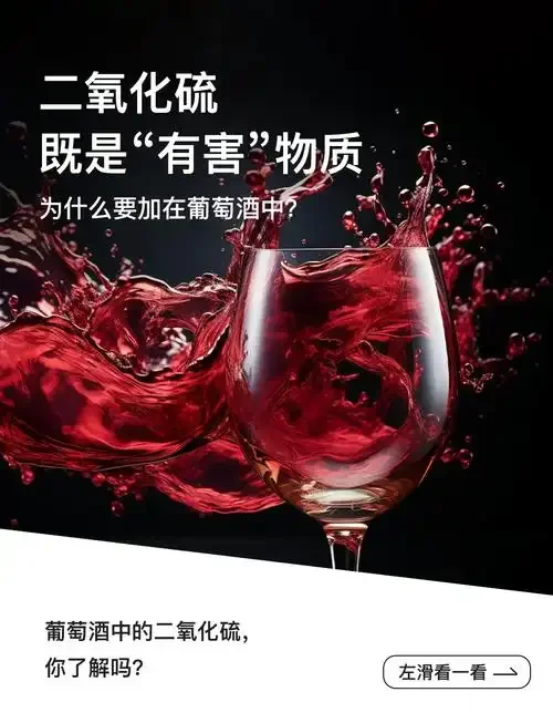 酿酒师正在进行葡萄酒二氧化硫检测操作，使用滴管和烧杯进行比色法测试。_1
