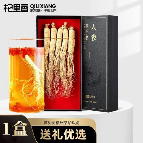 广口玻璃瓶中浸泡的干人参酒，酒液呈现琥珀色，旁边散落着枸杞和干人参，展示了泡酒的初始状态。_1