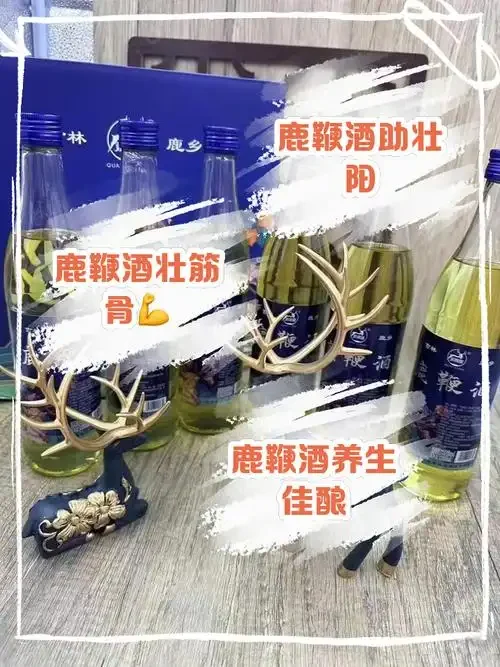 酿酒师正在将处理好的新鲜鹿鞭放入透明玻璃酒坛中，准备泡制鹿鞭酒_1