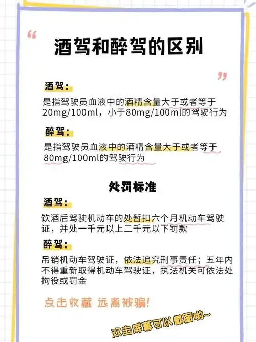 全球酒驾处罚对比信息图与酿酒师讲解示意图_1