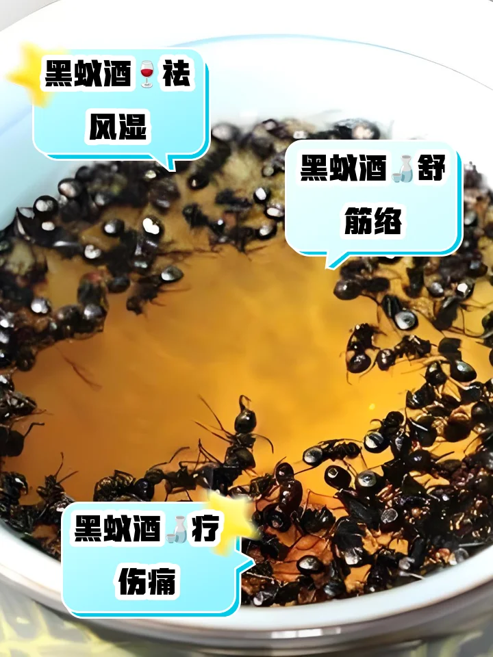 自制蚂蚁泡酒成品展示：透明玻璃罐中琥珀色酒液与黑色蚂蚁清晰可见，旁边配有枸杞、红枣等辅料。_1
