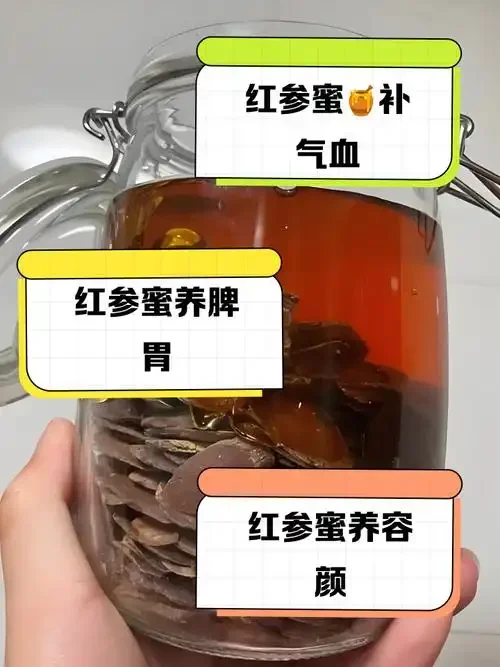 红参泡酒过程展示：装有红参和枸杞的透明玻璃酒坛，旁边放着红参片和纯粮白酒_1