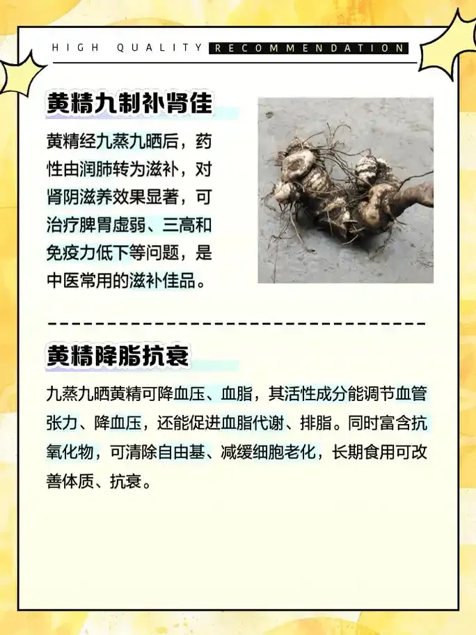 家庭自制酒黄精泡酒：玻璃罐中金黄酒液与黄精、枸杞的细节特写_1