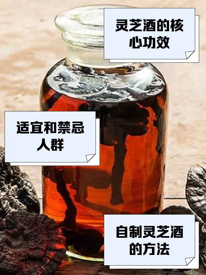 灵芝泡酒配方制作现场，展示透明罐中灵芝切片与基酒混合的关键步骤_1