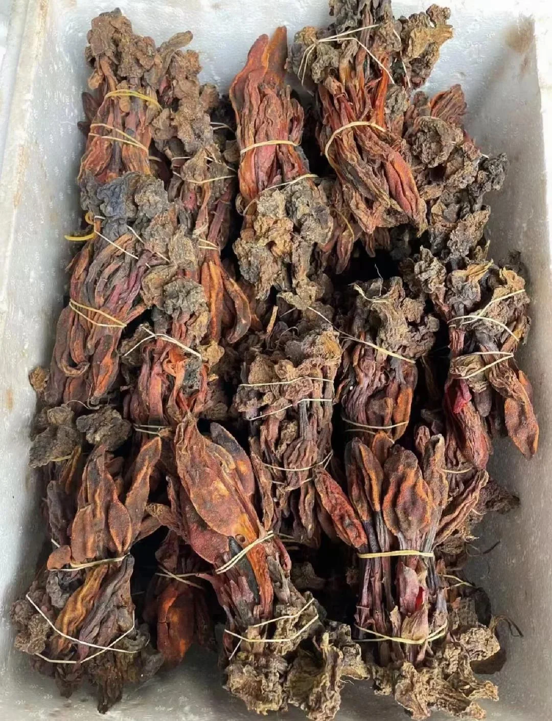 回春草泡酒过程示意图：广口玻璃罐中，红色回春草在清澈白酒中舒展，伴有红枣等辅料_1