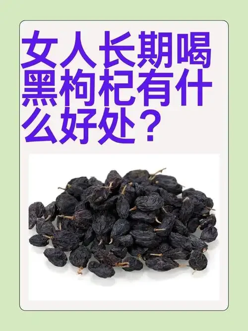透明玻璃缸内紫红色黑枸杞酒特写，旁有黑枸杞、冰糖和纯粮白酒，展示家庭泡酒场景。_1