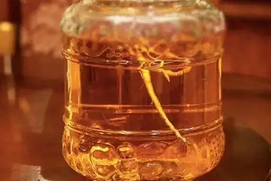 酿酒师在中药房讲解痛风补肾药酒的药材选择和浸泡注意事项_1