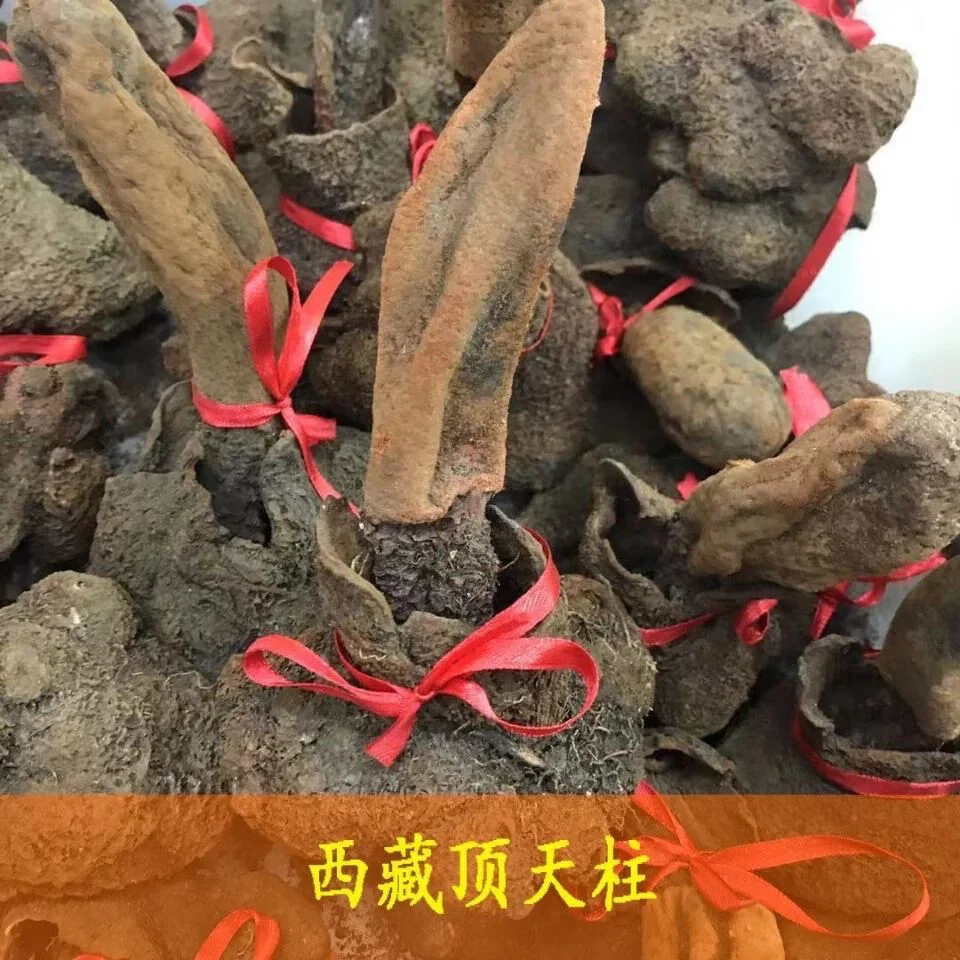 资深酿酒师正在检查一坛浸泡中的续阳草药酒，棕色陶坛与中药材细节清晰可见，展现了传统酿酒的专业场景。_1