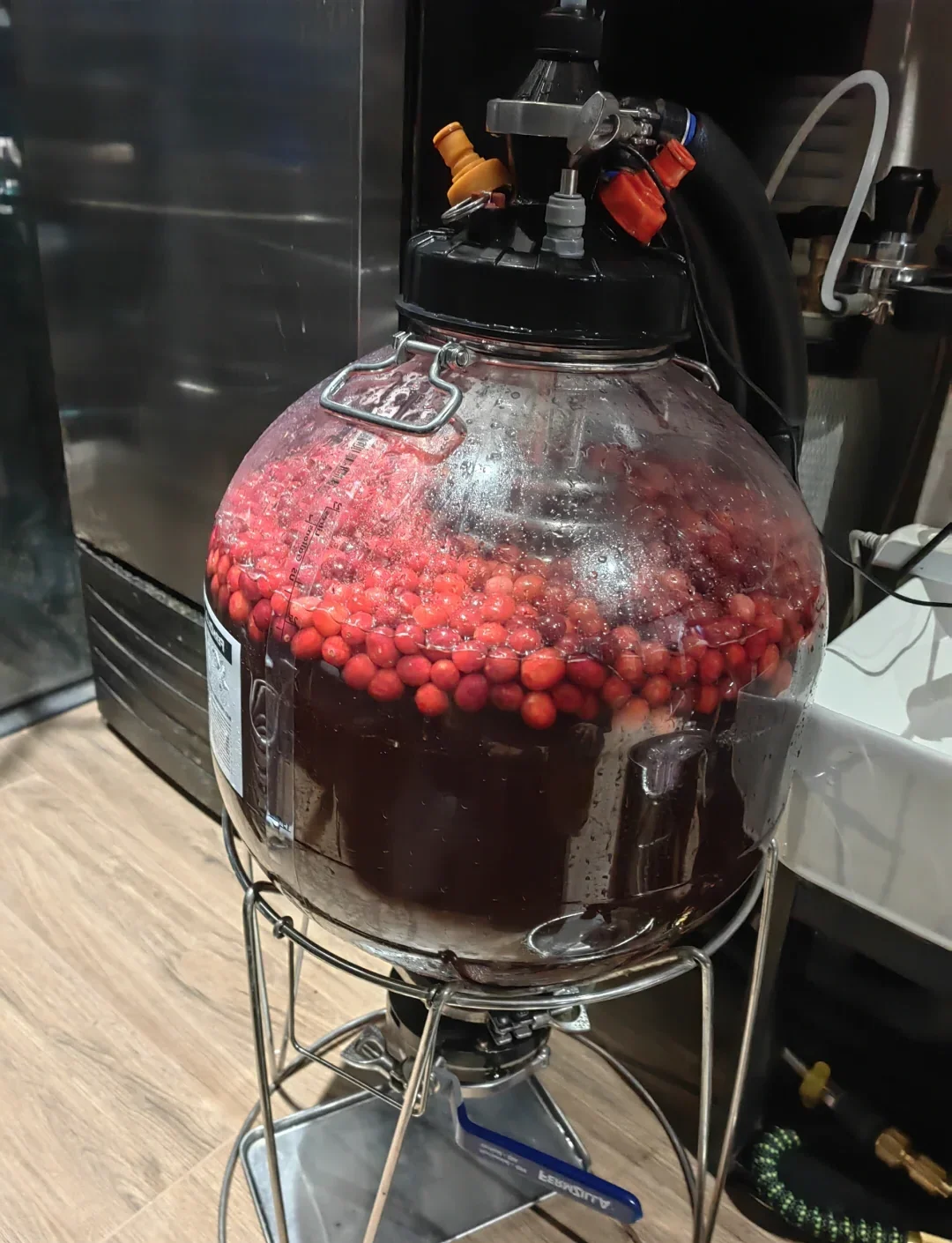 蜂蜜酒发酵过程示意：玻璃罐中正在发酵的琥珀色蜂蜜水，旁边是蜂蜜、酵母等原料_1