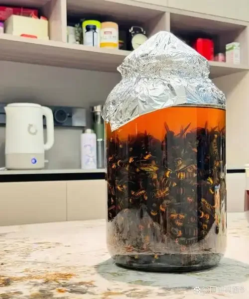 泡制中的蚂蚁酒广口瓶特写，展示琥珀色酒液与内部完整的蚂蚁。_1