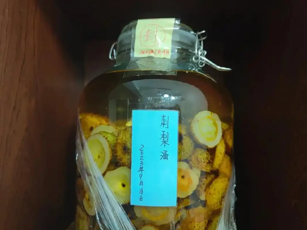 正在浸泡的刺梨根酒玻璃罐特写，旁边散落着刺梨果和清洗工具，展示家庭自酿刺梨根酒的过程。_1