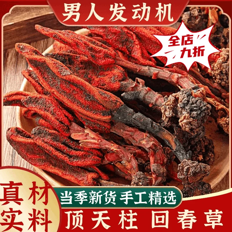 古朴玻璃罐中浸泡着回春草、枸杞和熟地黄的琥珀色药酒特写，光线柔和，富有传统养生氛围。_1