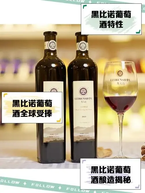 酿酒师手持一杯柯诺苏珍藏黑比诺葡萄酒，展示其优雅的色泽，背景为智利产区的葡萄园风光_1