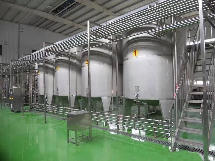 家庭自酿葡萄酒全套设备摆放图，包括葡萄、破碎桶、玻璃发酵罐、比重计、虹吸管等工具。_1