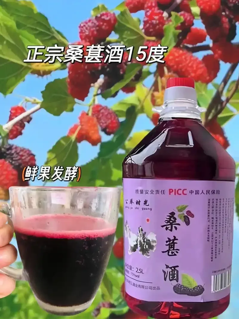 一杯清澈透亮的紫红色桑葚酒特写，旁边点缀着新鲜桑葚，展示其诱人的色泽与质感。_1