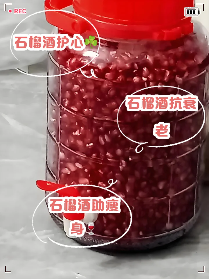 一杯色泽诱人的自制石榴酒，周围散落着新鲜石榴籽，展示家庭酿造的自然魅力。_1