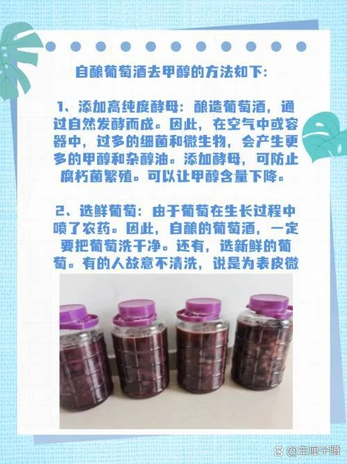 酿酒师双手对比：左手是带天然酵母白霜的葡萄，右手是专业酿酒酵母，背景为酿酒工具。_1