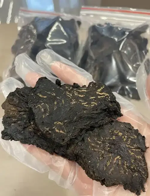 对比展示：湿漉漉的肉苁蓉与完全干燥的肉苁蓉并置在木桌上，旁边是一罐浸泡着枸杞的透明白酒，突出泡酒前药材必须干燥处理的核心要点。_1
