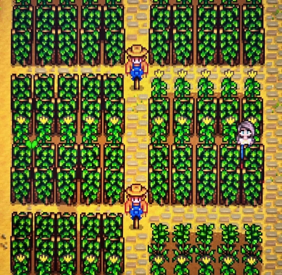 家庭酿造啤酒操作台：不锈钢煮锅中的麦芽汁、特种麦芽、啤酒花、酵母及酿造工具_1