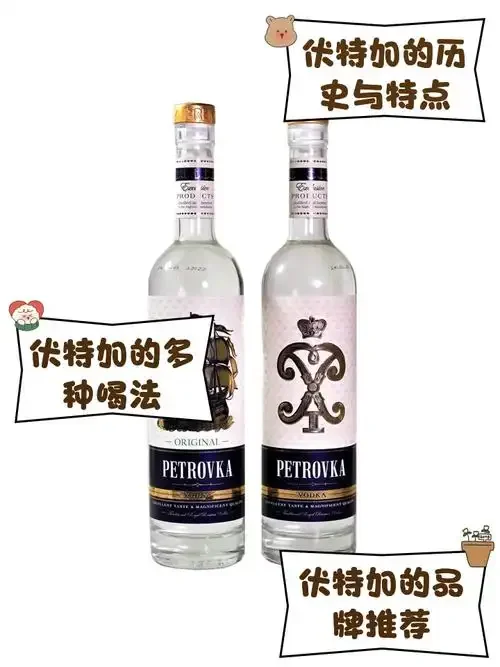 伏特加调酒所需材料展示：一瓶伏特加、青柠、薄荷叶、摇酒壶和一杯做好的血腥玛丽鸡尾酒。_1