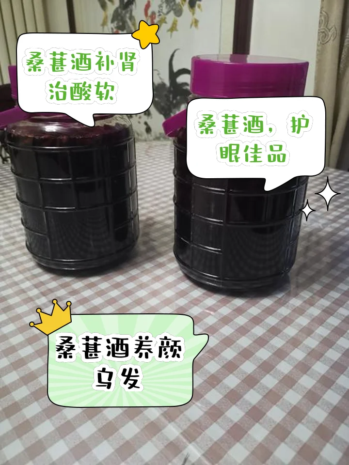 家庭自酿的桑葚酒成品展示，深紫红色的酒液装在玻璃瓶中，旁边是新鲜的桑葚果实。_1