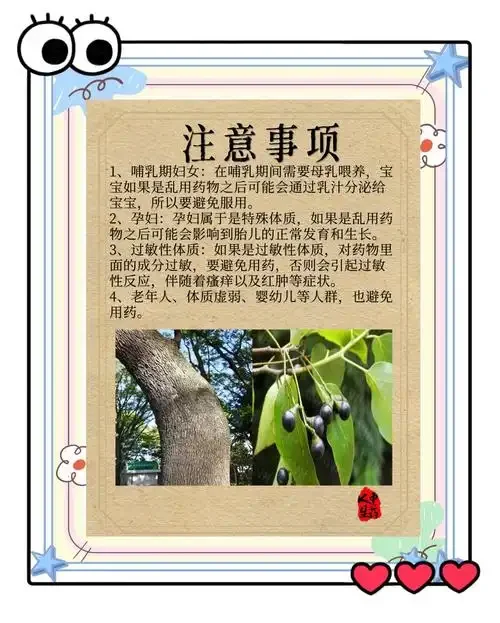警示图：樟脑丸与白酒的危险组合，以及樟脑丸毒素对人体肝脏和神经系统的损害原理示意图_1
