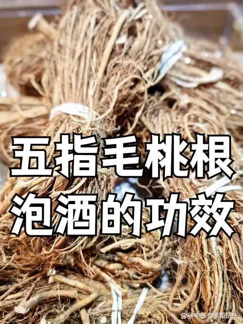 传统药酒泡制场景：玻璃罐中浸有人参、枸杞等药材，酒色琥珀，旁边散落着药材与古籍。_1