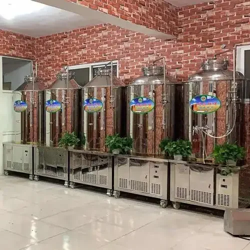 南楼山酿酒技术网展示的小型鲜啤酒设备实景，包含糖化煮沸锅和发酵罐，用于自酿啤酒。_1