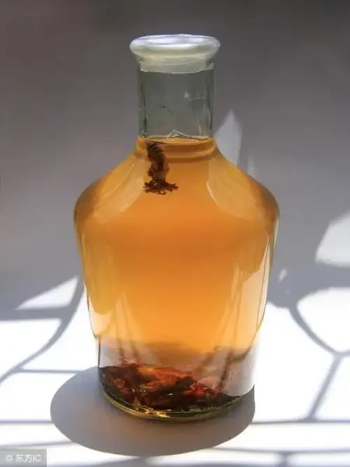 一瓶正在泡制中的天麻酒，天麻切片在琥珀色酒液中清晰可见，展示传统养生泡酒工艺_1
