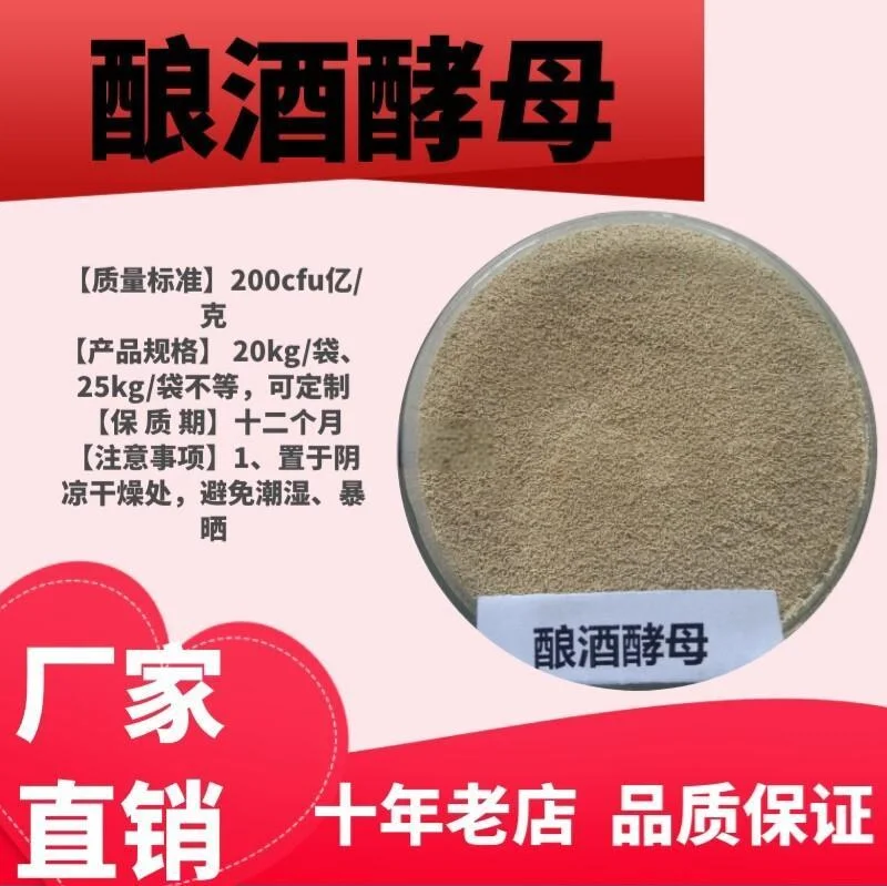 一块布满天然微生物菌落的传统大曲特写，旁边是酿酒原料，展示了酒曲作为微生物载体的真实形态。_1