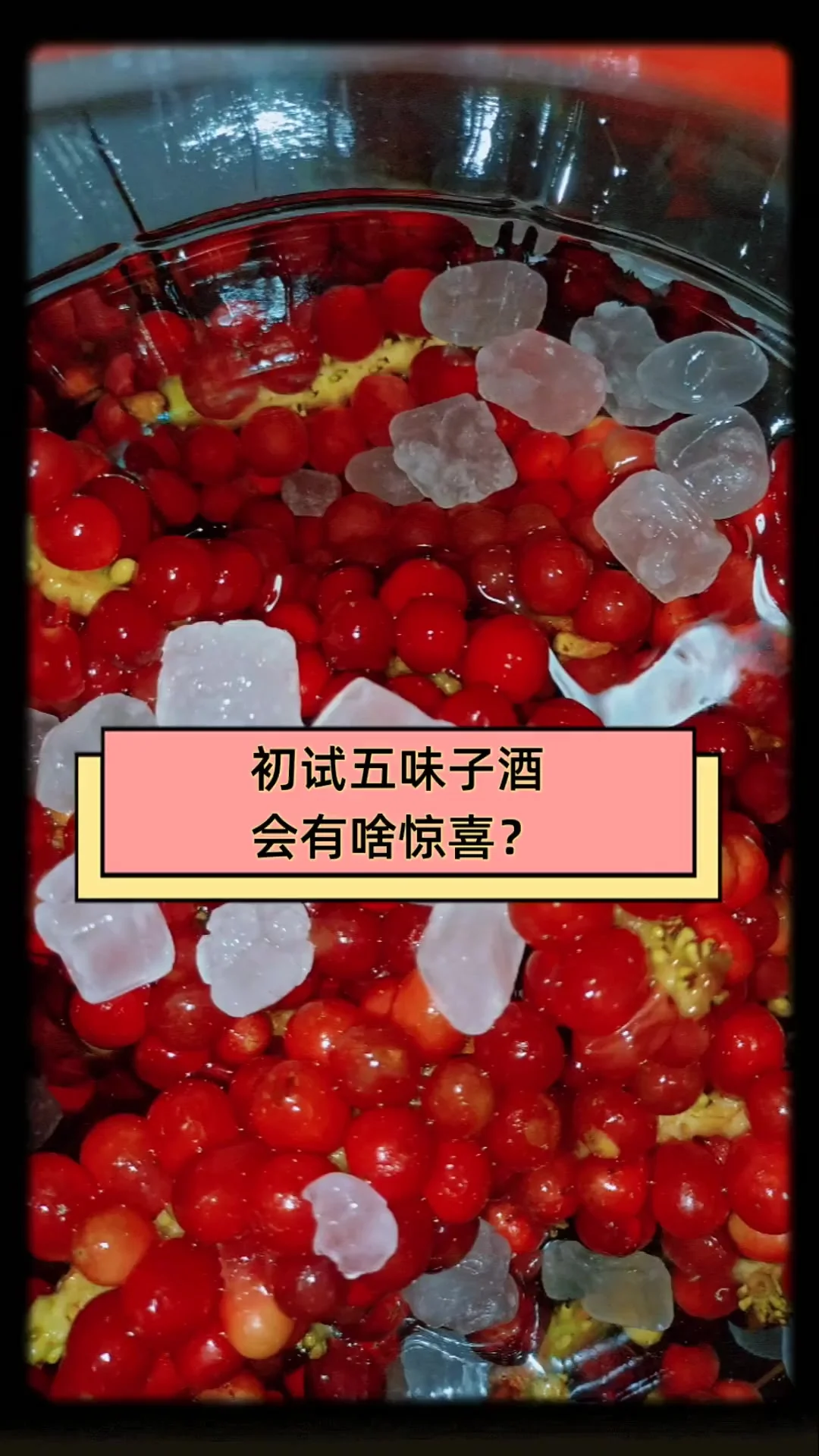 五味子与酒液在酒坛中融合的酿造场景，展示家庭手工制作五味子酒的过程。_1