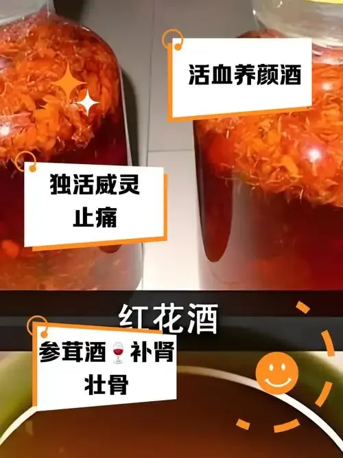 清晰玻璃罐中的参茸补血酒，可见人参、鹿茸、枸杞等药材浸泡在琥珀色酒液中，旁边摆放着未浸泡的原材料。_1