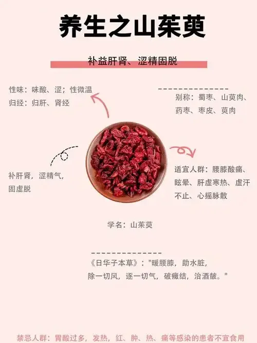 酿酒师正在将山茱萸干果投入发酵罐中酿造山茱萸酒_1