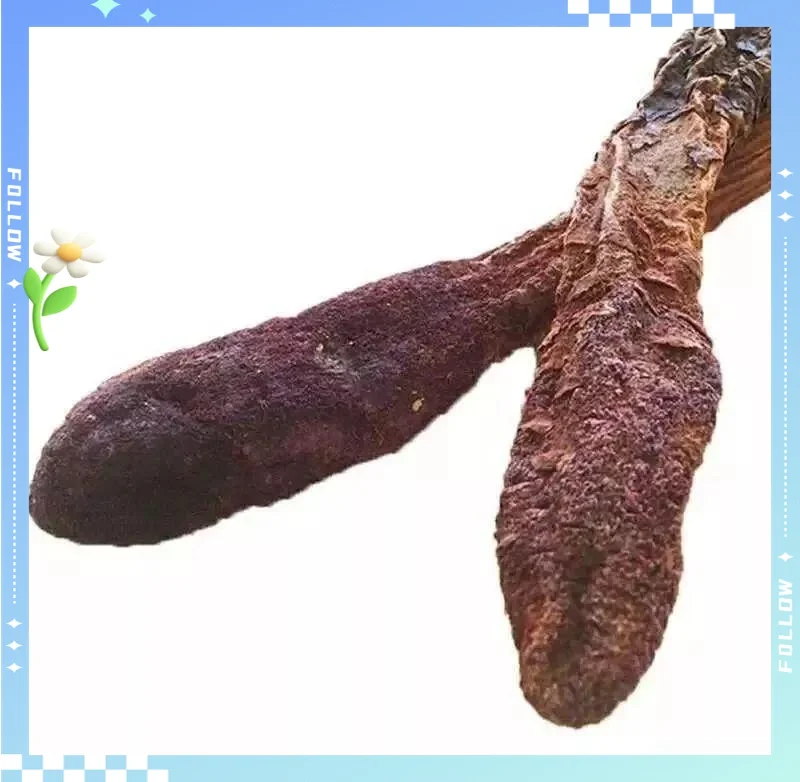 锁阳酒泡制过程展示：透明玻璃罐中泡好的锁阳酒，色泽金黄，药材清晰可见。_1