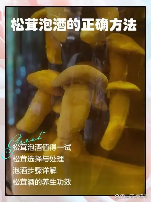 酿酒师正在往透明玻璃酒坛中放入野生灵芝进行泡制_1