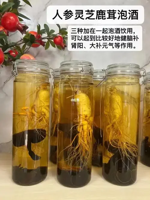 家庭自制人参灵芝泡酒：透明酒瓶中浸泡着人参和灵芝，酒液呈琥珀色，背景有枸杞红枣。_1