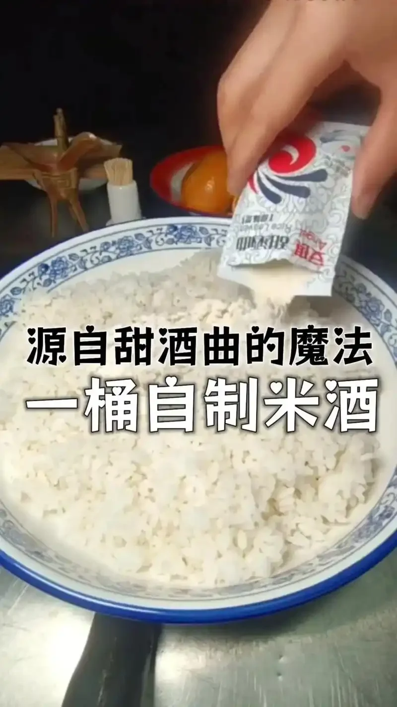 正在向糯米饭中撒酒曲的家庭酿酒过程特写_1