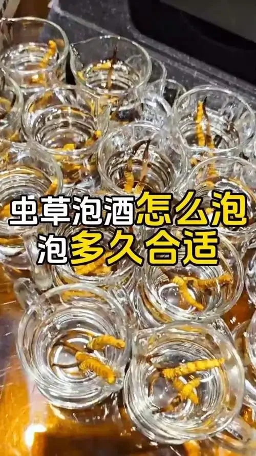 将新鲜虫草放入透明玻璃酒瓶中进行浸泡的操作过程特写_1